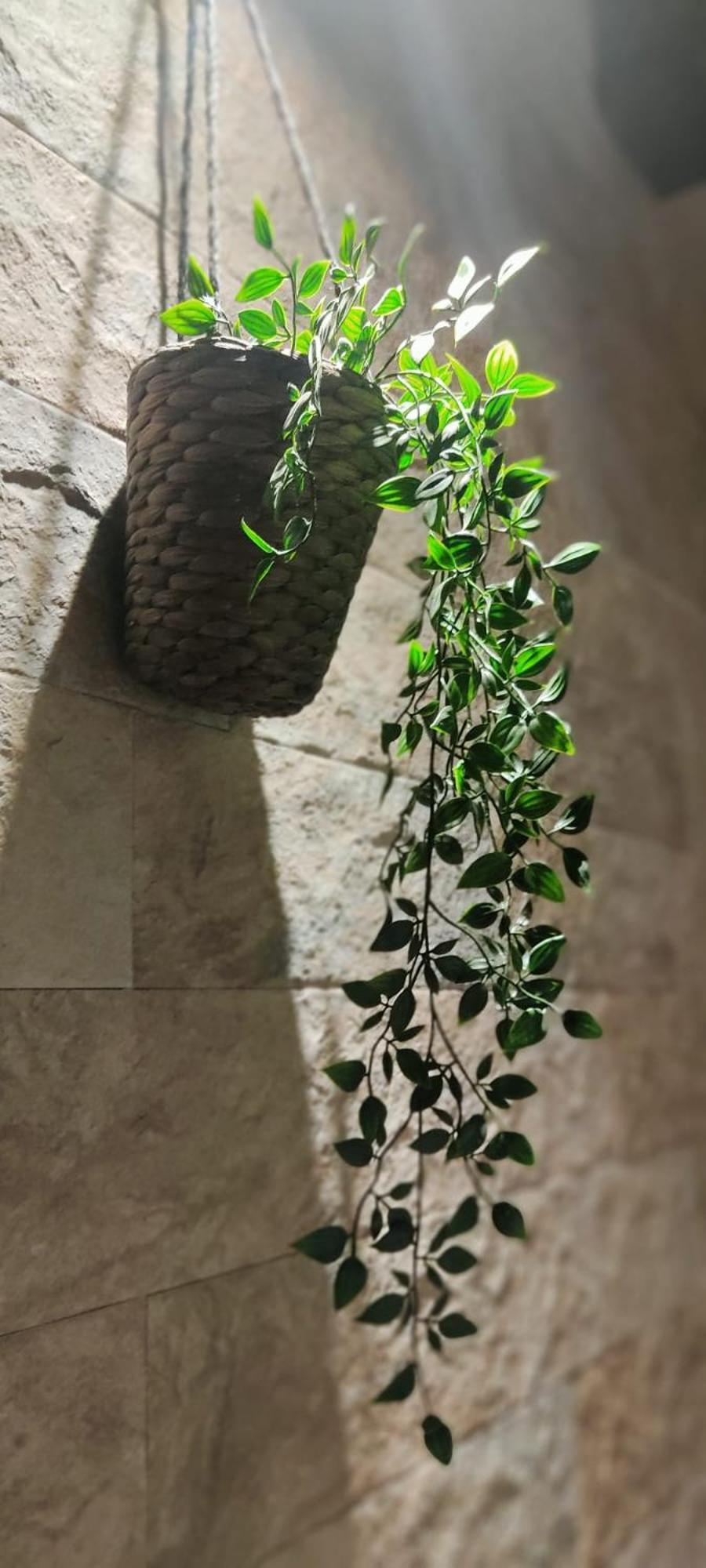 Dimora Al Saraceno Ξενοδοχείο Φεράρα Εξωτερικό φωτογραφία